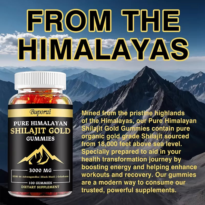 Shilajit Gummies - Improves Mood, Immunity, Skin and Digestive Health, Boosts Energy